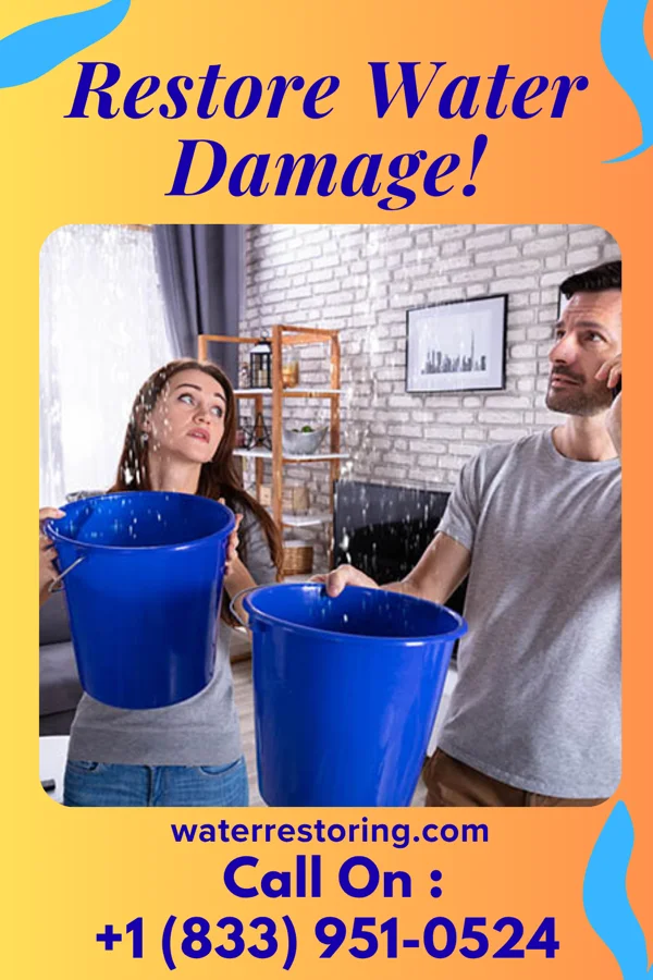 water restoration Lightning Cleanup LLC Calumet